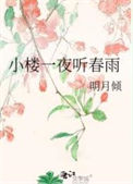 《小楼一夜听春雨》封面