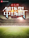 《什么叫破坏型中场啊》封面