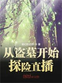 《从盗墓开始探险直播》封面