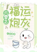 《六零之福运炮灰》封面
