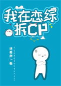 《我在恋综拆cp》封面