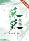 《酥酥》封面
