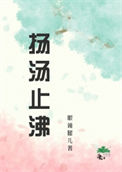 《扬汤止沸》封面