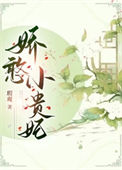 《娇憨小贵妃》封面