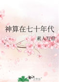 《神算在七十年代》封面