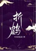 《折鹤》封面