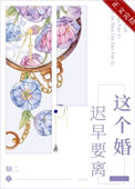 《这个婚迟早要离》封面