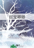 《宦宠卿卿》封面