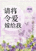 《请将令爱嫁给我》封面