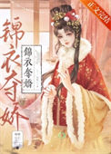 《锦衣夺娇》封面