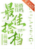 《最佳搭档[刑侦]》封面