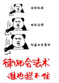 《律师会法术，谁也拦不住！》封面