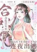 《掳错男主后我连夜出逃》封面