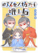 《被双重人格太子缠上后》封面