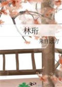 《林珩》封面