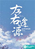 《左右逢源》封面