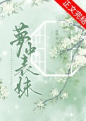 《梦中表妹》封面