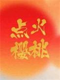 《点火樱桃》封面