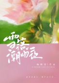 《雪落潮吻夜》封面