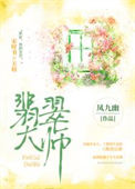 《翡翠大师》封面