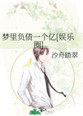 《梦里负债一个亿[娱乐圈]》封面