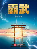 《霸武》封面