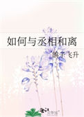 《如何与丞相和离》封面