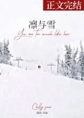 《凛与雪》封面