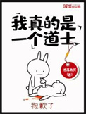 《我真的是一个道士》封面