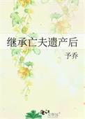 《继承亡夫遗产后》封面
