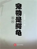 《我的宠物是鳄龟》封面