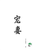 《宠妻（重生）》封面