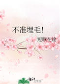 《不准埋毛！》封面
