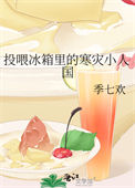 《投喂冰箱里的寒灾小人国》封面