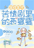 《年代苦情剧恶婆婆》封面