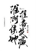 《淮阴侯她准备发癫》封面