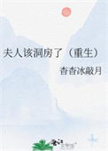 《夫人该洞房了（重生）》封面