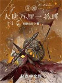 《开局：大唐万里一孤城》封面