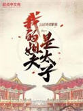 《我的姐夫是太子》封面