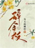 《辞金枝》封面