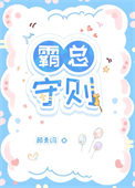 《霸总守则》封面