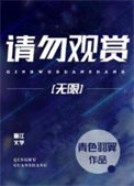 《请勿观赏[无限]》封面