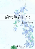《后宫生存日常》封面