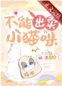 《不能出卖小猫咪》封面