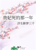 《贵妃死的那一年》封面