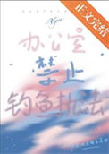 《办公室禁止钓鱼执法》封面
