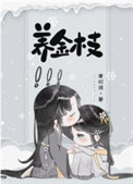 《养金枝》封面