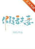 《假话夫妻》封面