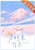 《冬日恋爱指南》封面