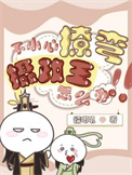 《不小心撩弯了摄政王怎么办》封面